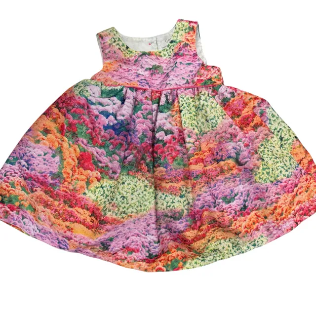 George Girl's floral DRESS Size 12 months