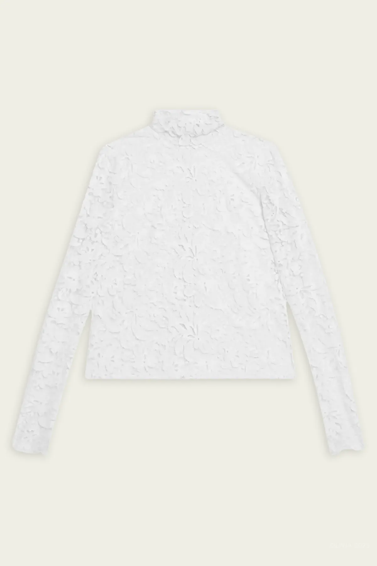 Indy Lace Top in Cream