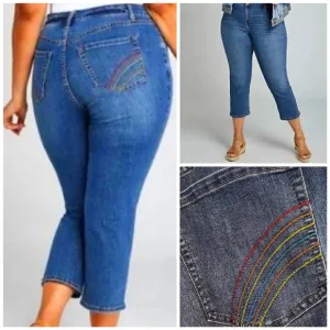 LANE BRYANT High Rise Rainbow Straight Leg Crop Jeans Size 24