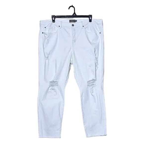 NWT Torrid High Rise Straight Jeans